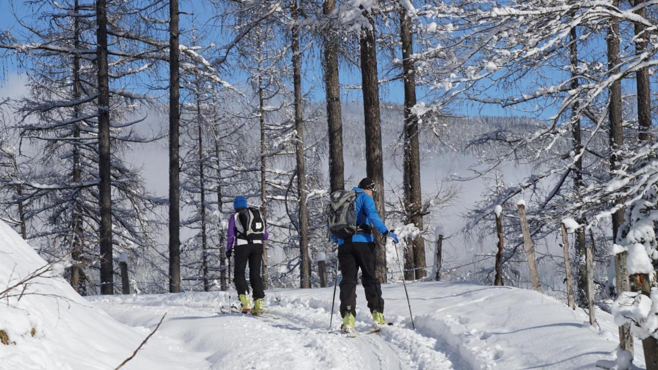 Alpensportlodge Альтенмаркт  Экстерьер фото